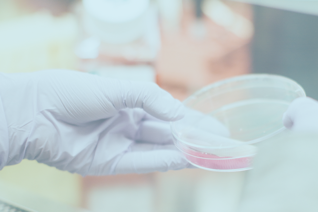 service nettoyage et propreté santé